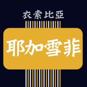 衣索比亞 耶加雪菲【日曬】