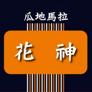 瓜地馬拉 花神【水洗】